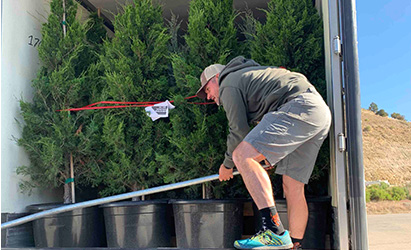 Stefan Hiatt loading trees in semi trailer